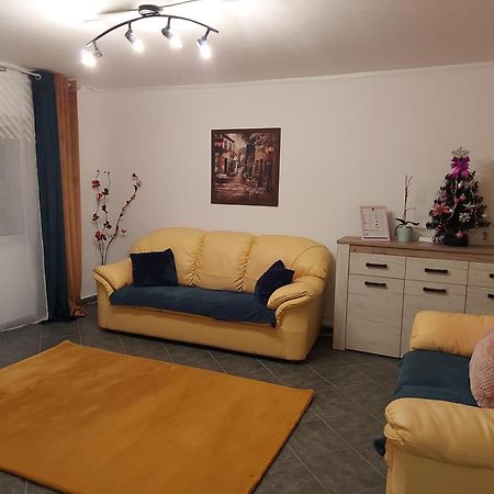Apartament Central Lala Apartament Braszów Zewnętrze zdjęcie