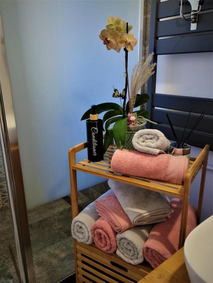 Apartament Central Lala Apartament Braszów Zewnętrze zdjęcie